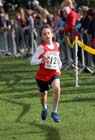 Salford Harriers winning the under-11 boys Northern Cross Country Relays, Graves Park, Sheffield.